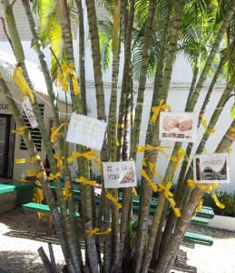 Cerca de 200 Pioneros colgaron cintas amarillas en el “árbol de la vida” que ubica frente a las facilidades del Programa de Servicios Educativos del recinto de Ponce.  Algunos firmaron sus cintas y escribieron mensajes de apoyo a esta importante causa.  