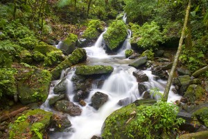 El Yunque river stream