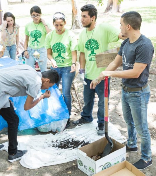 Estudiantes participan de actividades ambientales.